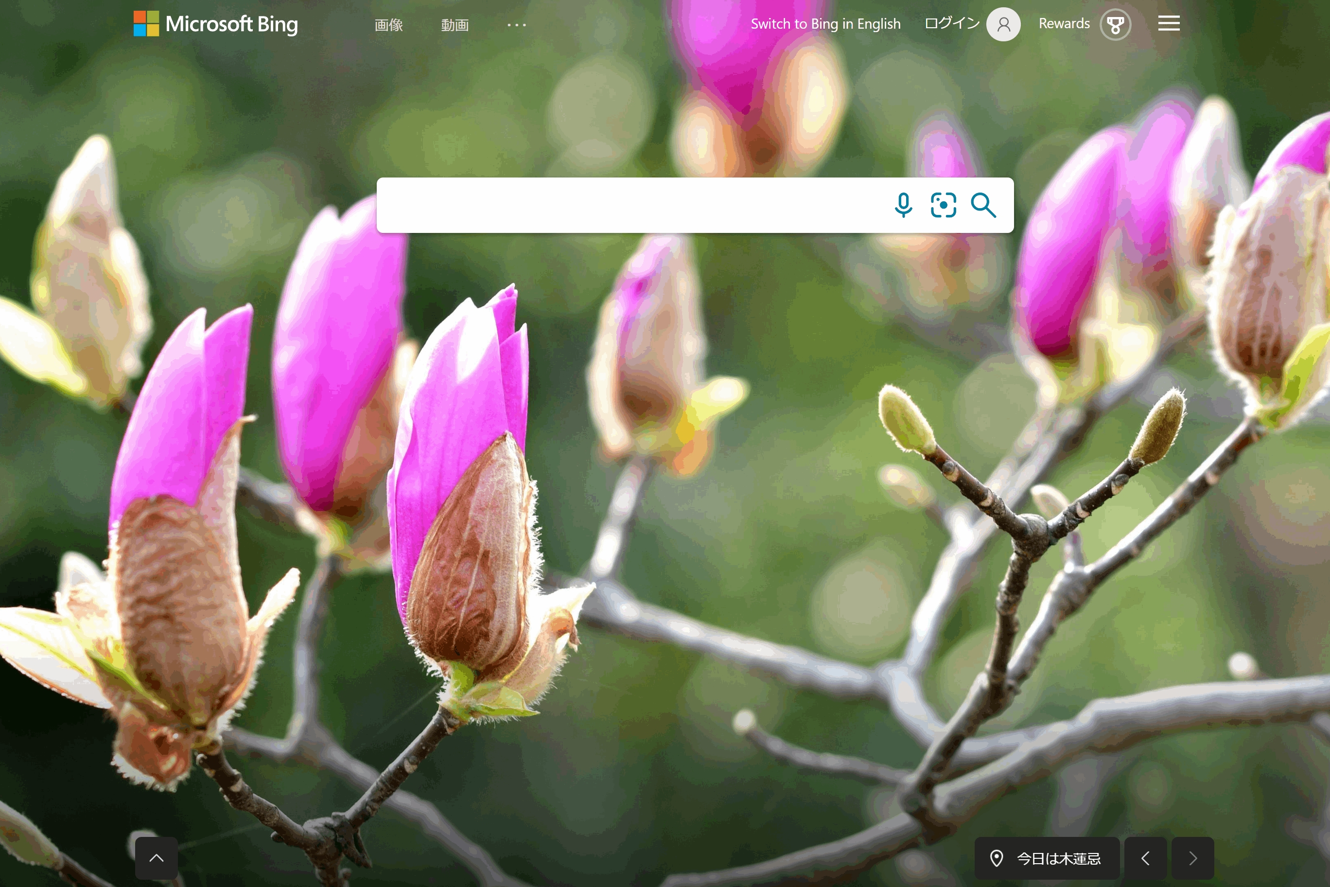 Bing 日本版 今日は 木蓮忌 作家 内田百閒 の命日です 菩提寺である金剛寺に建立された句碑 木蓮や塀の外吹く俄風 にちなんでいます 夏目漱石の門下生の一人で 冥途 阿房列車 などの小説や 日常を描いた名随筆を残しました Bingjp