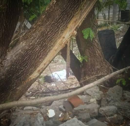 An unidentified dead body, which residents in Thiri Mingalar, #Mawlamyine found on 17 April, was an individual who was killed and abandoned by the SAC troops of railroad security, according to a trusted rescue team member. 
📷 - RCT
#WhatsHappeningInMyanmar