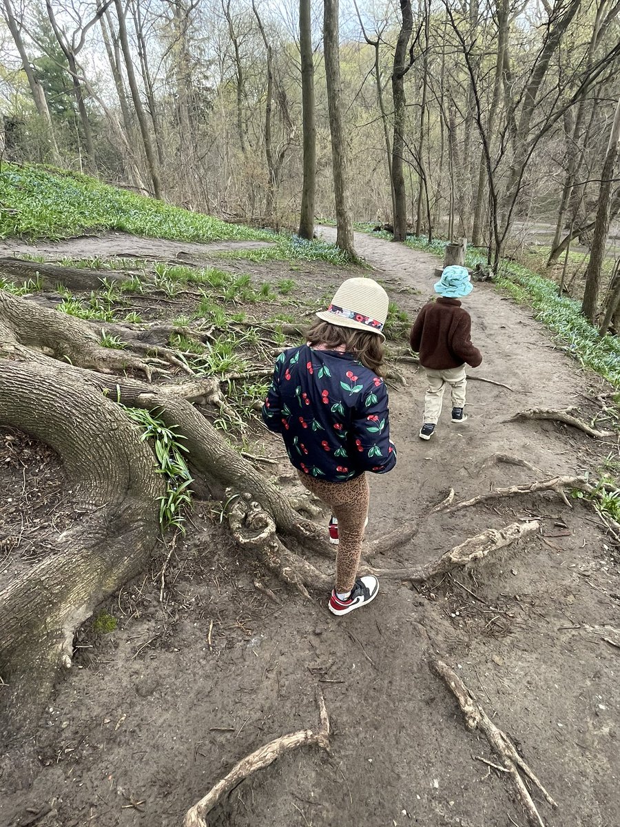 Alexander Muir Gardens. Another pretty spot recommended by  @AlexisCarere. Park on Weybourne crs off of Yonge near Lawrence. Gardens have lots of little hidden mini side paths, was fun for kids to explore. Walk further and connect to Blythwood Ravine Park and Sherwood Park.