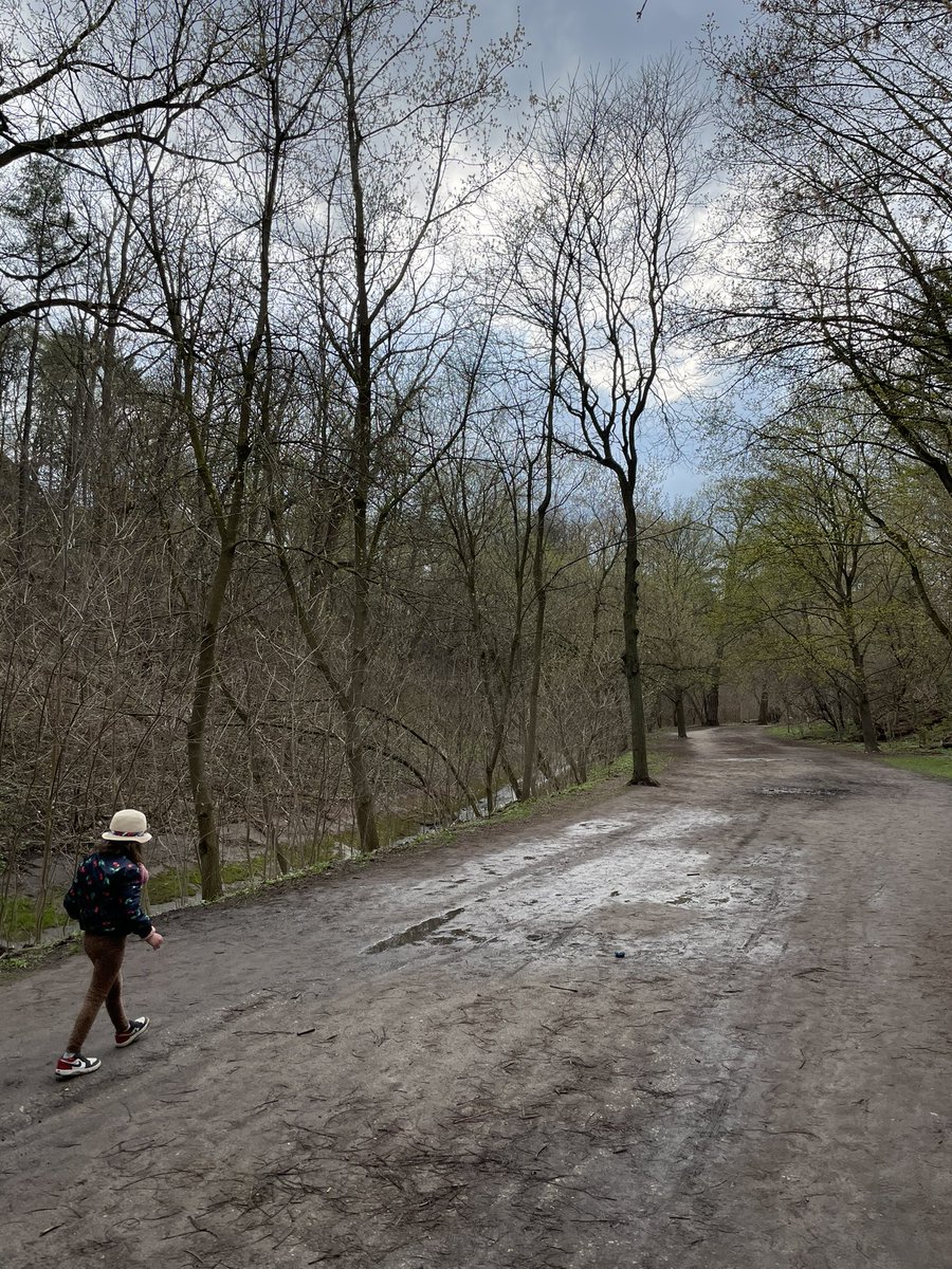 Alexander Muir Gardens. Another pretty spot recommended by  @AlexisCarere. Park on Weybourne crs off of Yonge near Lawrence. Gardens have lots of little hidden mini side paths, was fun for kids to explore. Walk further and connect to Blythwood Ravine Park and Sherwood Park.