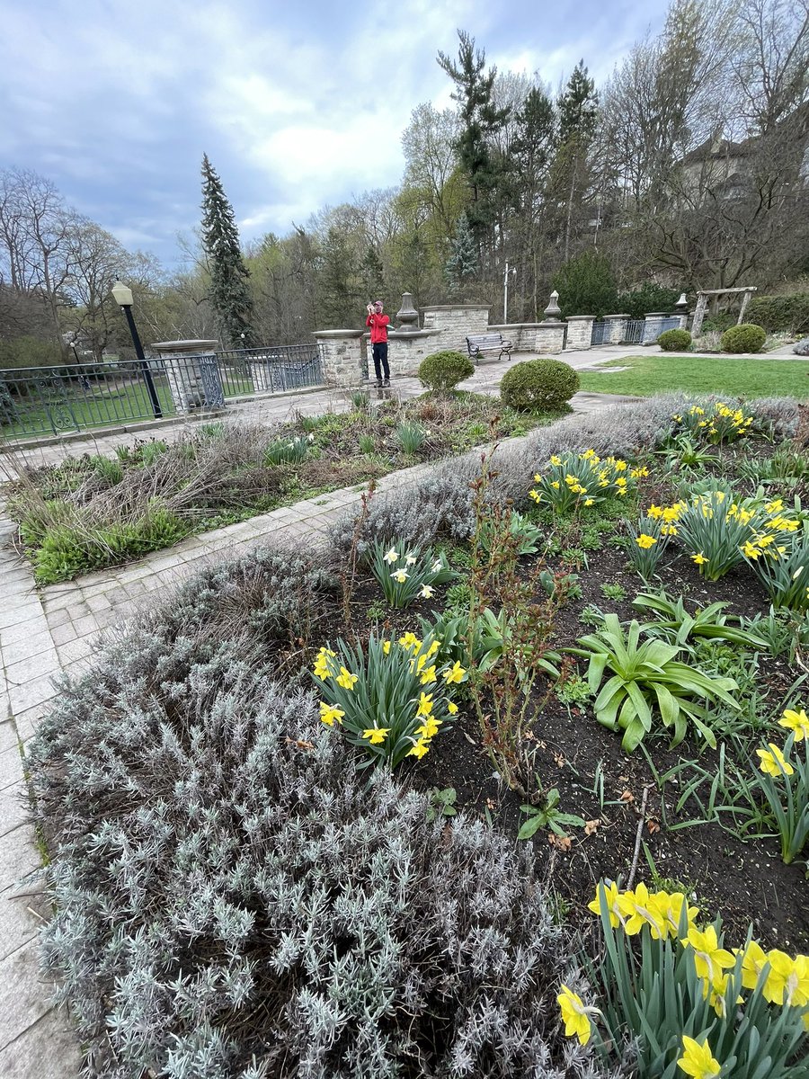 Alexander Muir Gardens. Another pretty spot recommended by  @AlexisCarere. Park on Weybourne crs off of Yonge near Lawrence. Gardens have lots of little hidden mini side paths, was fun for kids to explore. Walk further and connect to Blythwood Ravine Park and Sherwood Park.