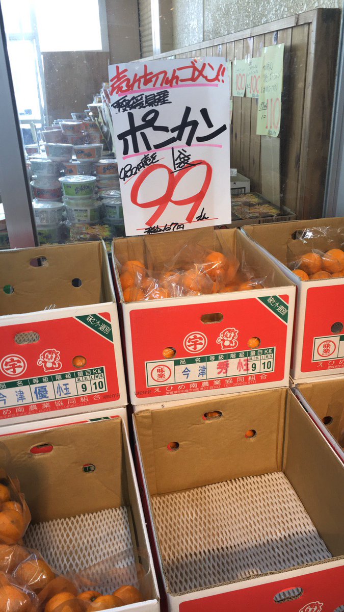 super_tamai's tweet photo. リューアル感謝祭㊗️

リツイート50件いくと
さらに激安商品が現れるかも！ https://t.co/EJa9XvFzKt