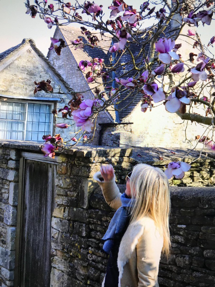 CarrieCamCooper's tweet photo. Hello world! #writer #WritingCommunity #iamwriting #springflowering https://t.co/aHxFvEvGAO