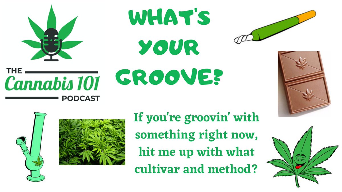 thecannabis101's tweet photo. #Happy420! Ep91 hour 1 #Cannabis101Podcast where science backs up that it's not just about #THC
📺🎧https://t.co/44BHnIrF00
This Week in Cannabis News with David Wylie @okanaganz
#CannabisCharacter = an Academy Award winner
#WeedWords - Ganja & Full Spectrum
#PodcastAlley https://t.co/B58UjduOth