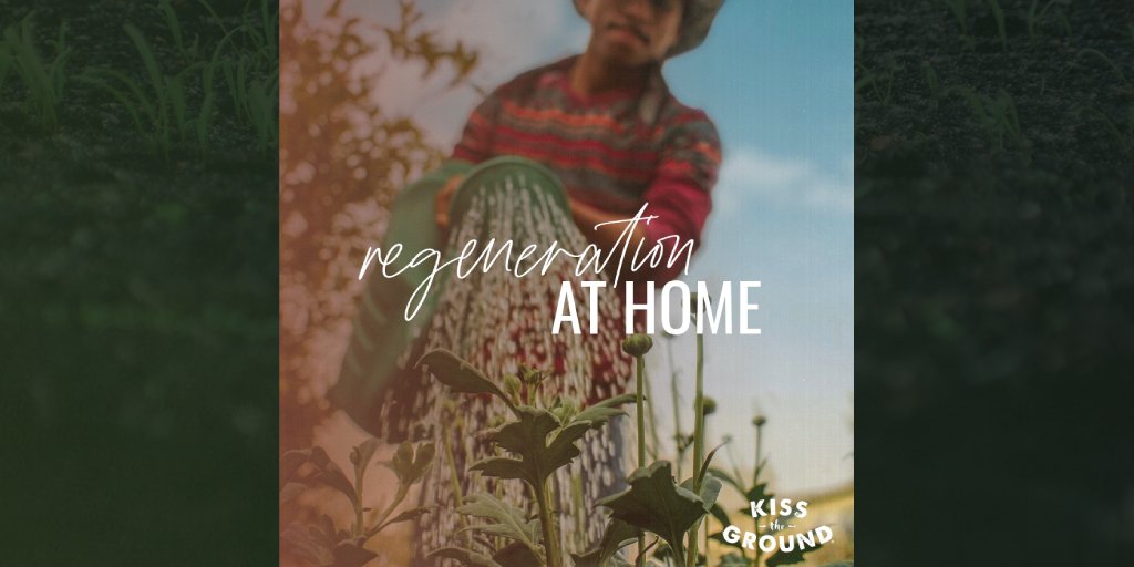 Regeneration International (@regeneration_in) on Twitter photo You can incorporate regenerative practices at home!
<a href="/KissTheGroundCA/">Kiss the Ground</a> has compiled a list of tips that you can start applying to your lawn today.
➡️➡️ orgcns.org/32rrSE1 🌱 You can incorporate regenerative practices at home!
<a href="/KissTheGroundCA/">Kiss the Ground</a> has compiled a list of tips that you can start applying to your lawn today.
➡️➡️ orgcns.org/32rrSE1 🌱