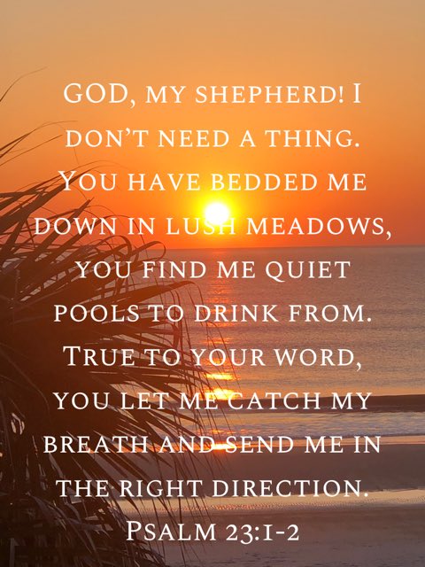 bible.com/97/psa.23.1-2.…