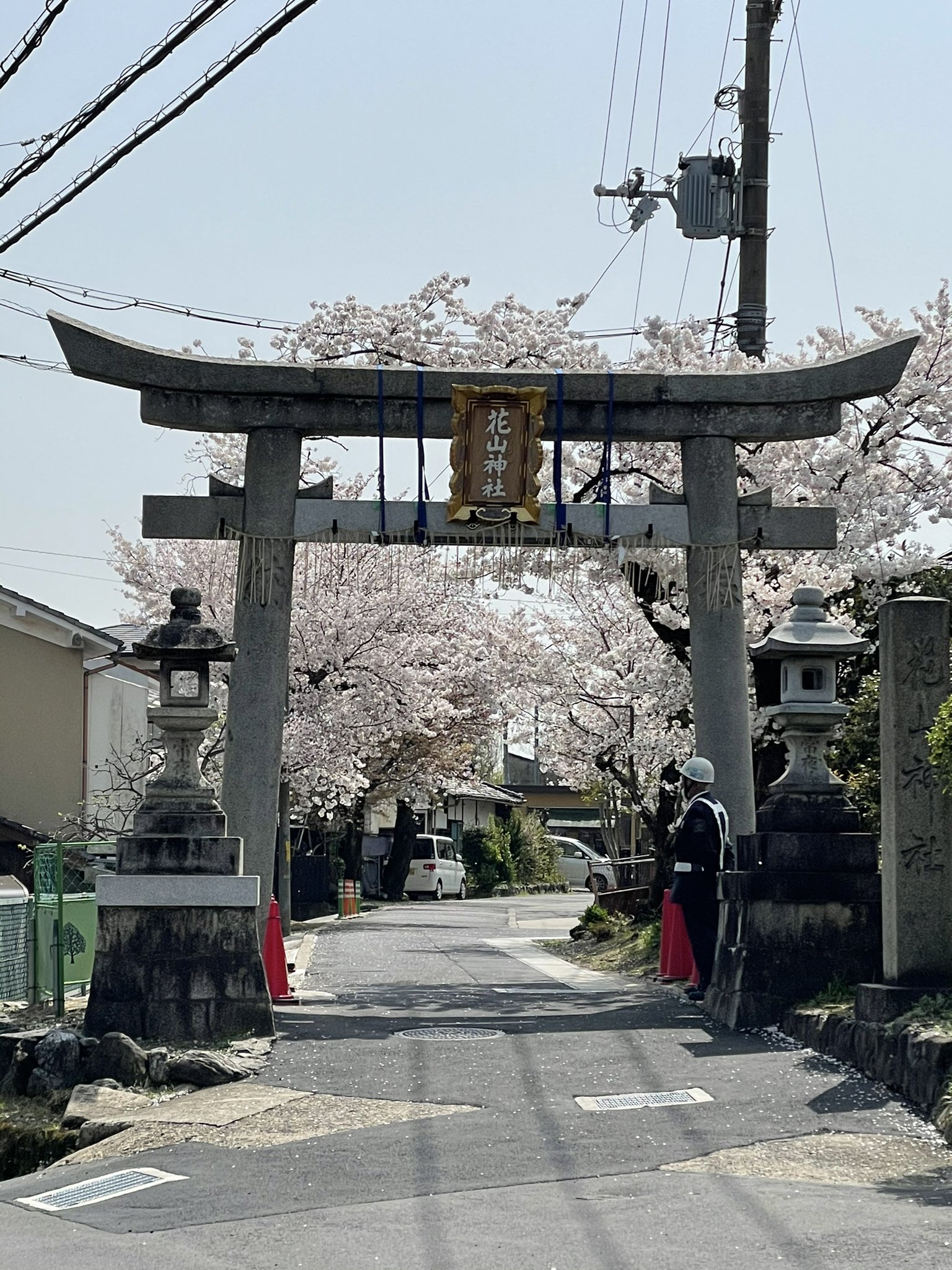 花山稲荷神社をご案内する狐 Goannnaifox Twitter