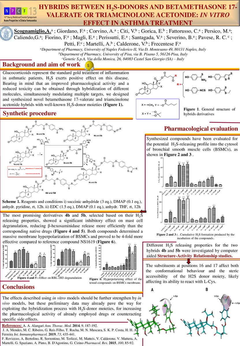 Antonia29584859's tweet photo. Molecular hybrids between FAS and H2S-donors
@DCFSCI #NPCF13 #DCFSCI #ANTIINFLAMMATORY #INPCFMeet https://t.co/44iMB8lG6F