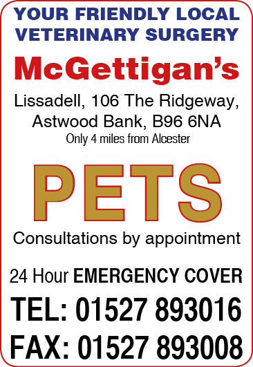 The Connection Magazine tweet media