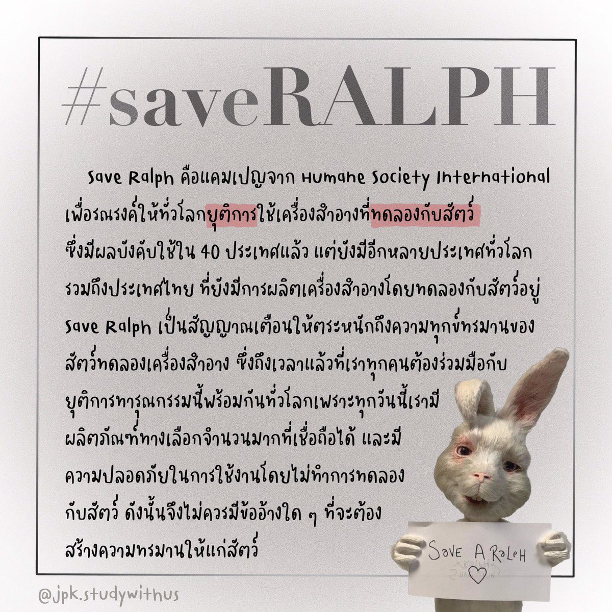 studywithus4's tweet image. #Saveralph มาร่วมกันหยุดการทดลองในสัตว์กันนะคะ🐇