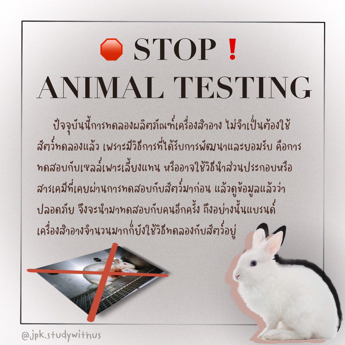 studywithus4's tweet image. #Saveralph มาร่วมกันหยุดการทดลองในสัตว์กันนะคะ🐇