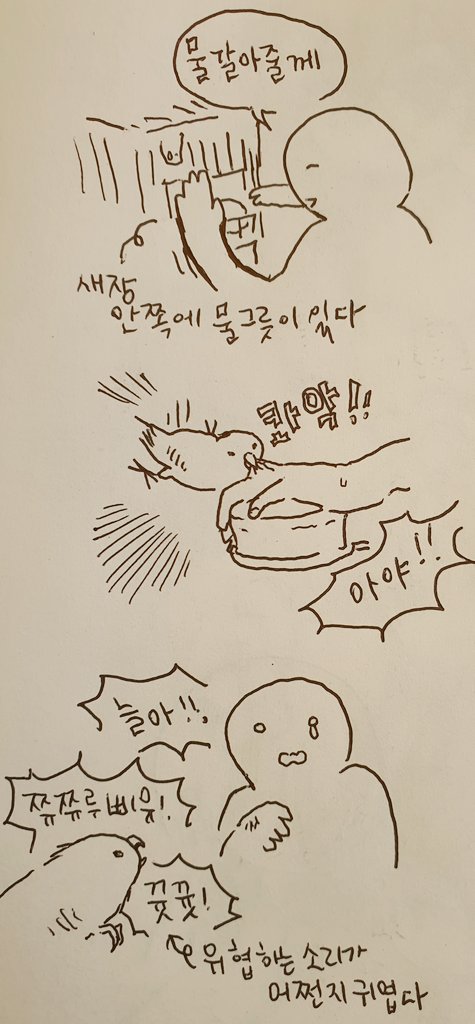 신기해서 물그릇에서 손을떼고 손을 더 늘이 곁으로 가져가봤는데도 물지않았다. 감동이야 늘아 ? 진작 말을해볼껄 그랬나보다 