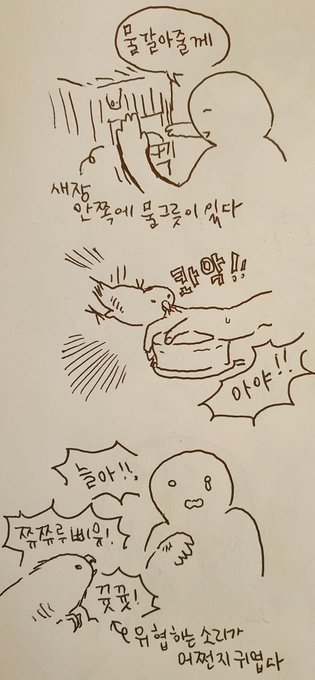 신기해서 물그릇에서 손을떼고 손을 더 늘이 곁으로 가져가봤는데도 물지않았다. 감동이야 늘아 ? 진작 말을해볼껄 그랬나보다 