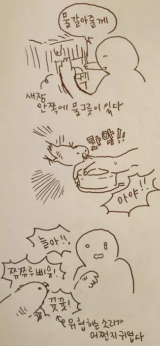 신기해서 물그릇에서 손을떼고 손을 더 늘이 곁으로 가져가봤는데도 물지않았다. 감동이야 늘아 ? 진작 말을해볼껄 그랬나보다 
