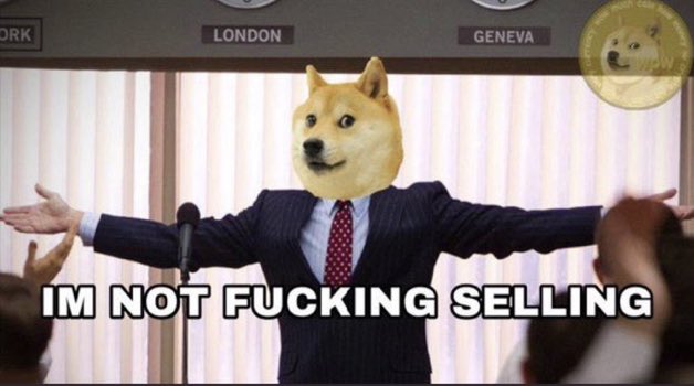 nylo44's tweet photo. We hold and do not sell as an army 🚀 #DogeDay #DogeDay420 https://t.co/Wunpl32kjN