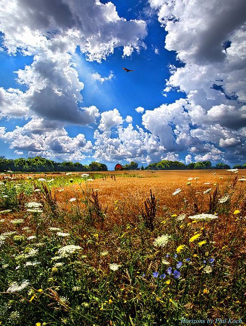 поля россии. поле это место где. проселочная дорога в поле. поле это место где. поле это место где.