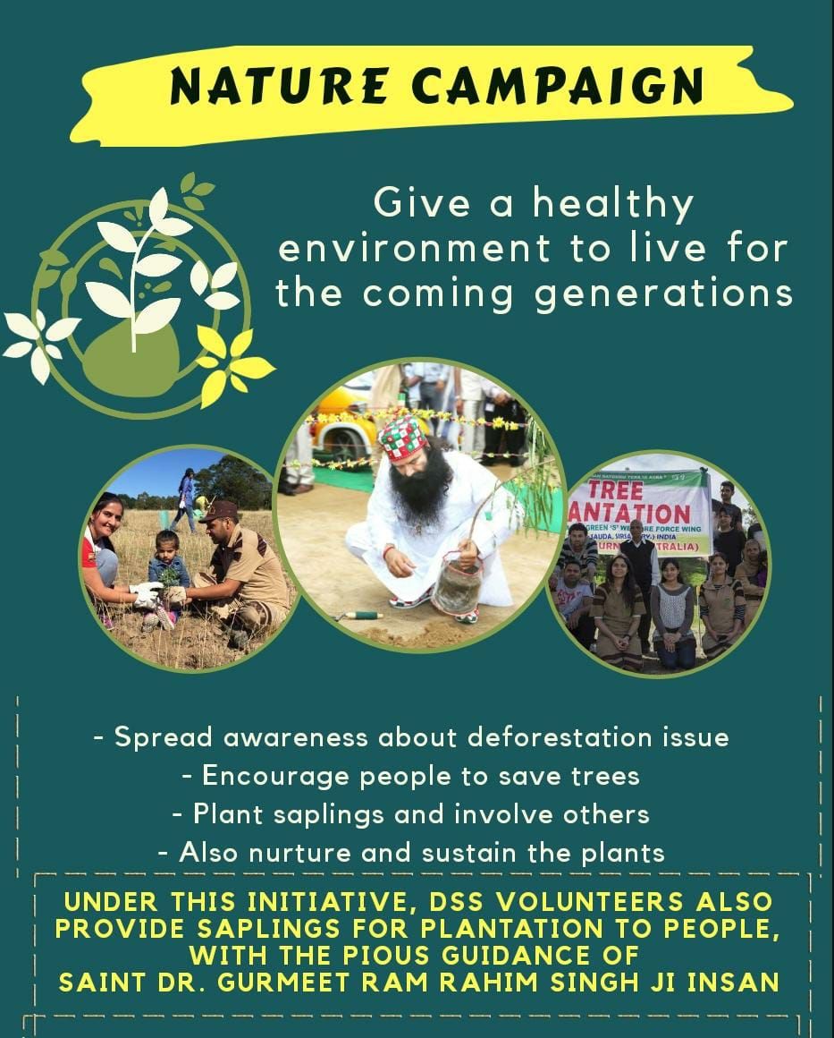 RachuInsan4's tweet photo. When we have the natural source of oxygen that's "Plants" then why we going to depend on oxygen cylinder.
So take pledge to plant some trees every year.
In the pious guidance of @SaintDrMSG millions trees had planted by @derasachasauda 
#Savemotherearth 
#treeplantation https://t.co/S04QD1LNCB