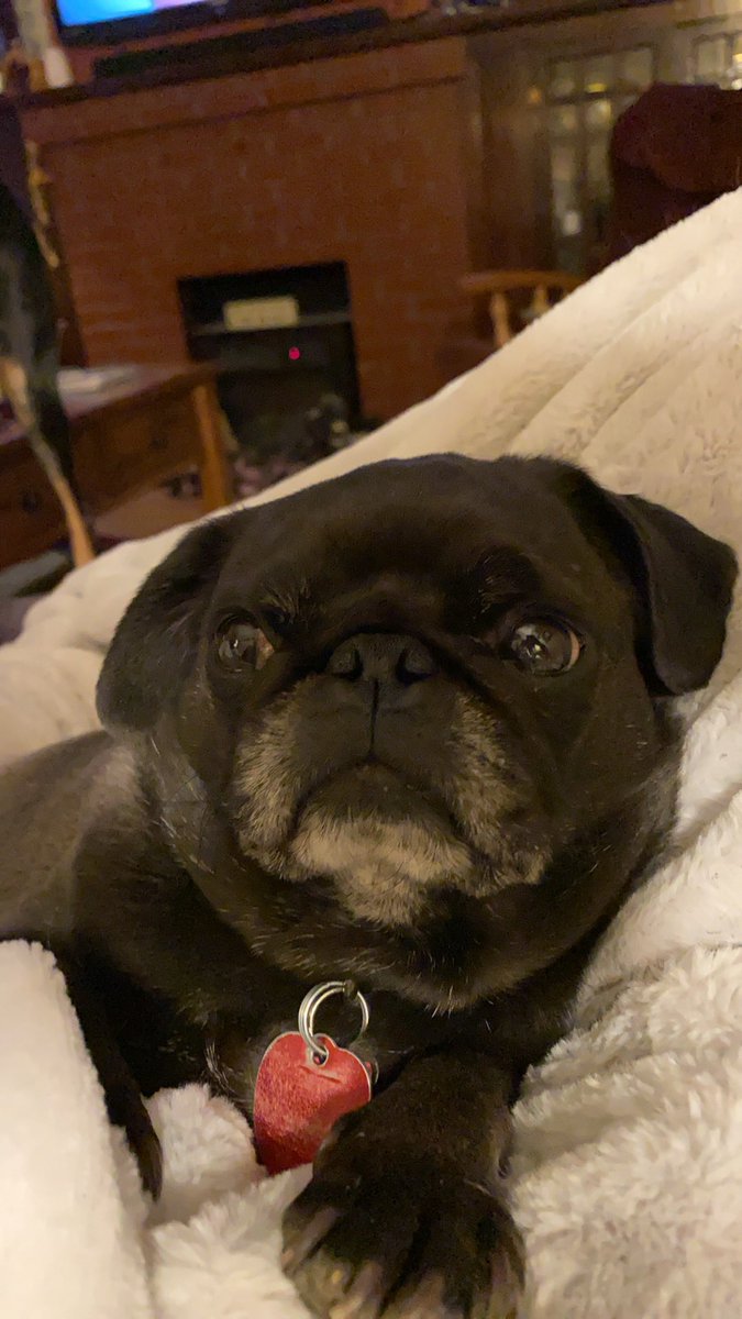 Ronna Denny (@ronnadenny) on Twitter photo 