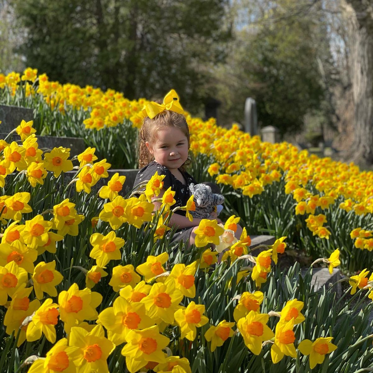 TKKSwiftie's tweet photo. 🎶 To you, everything’s funny. You’ve got nothing to regret. I’d give all I have honey for you to stay like that.#SecondGenerationSwifties #swifties #seniorswifties @taylorswift13 @taylornation13 #NeverGrowUp #taylurking #FearlessTaylorsVersion #speaknowtaylorsversion @CapitalOne https://t.co/F6RNuR6X3f