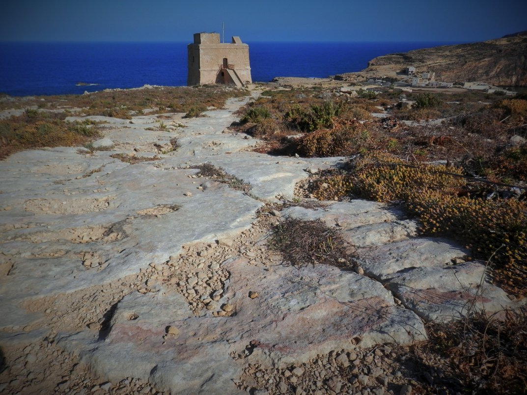 DwejraTower's tweet photo. Grazzi ฤงafna! Thank you so much for your continued interest, page likes & positive comments - it is very much appreciated ๐The #DwejraTower Team
#Staysafe #virtualvisitor #natura2000 #heritagepark #EveryoneNeedsNature #heritagerestored @dinlarthelwa #darkskyheritage @VisitGozo https://t.co/pcvjXBW7bs