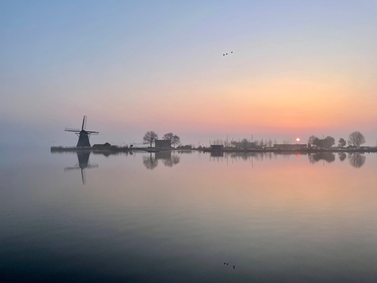 Pieter Stolk tweet media