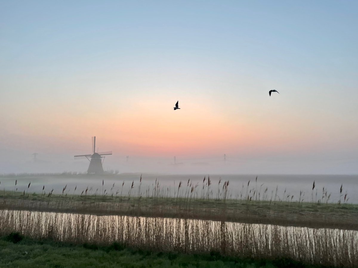 Pieter Stolk tweet media