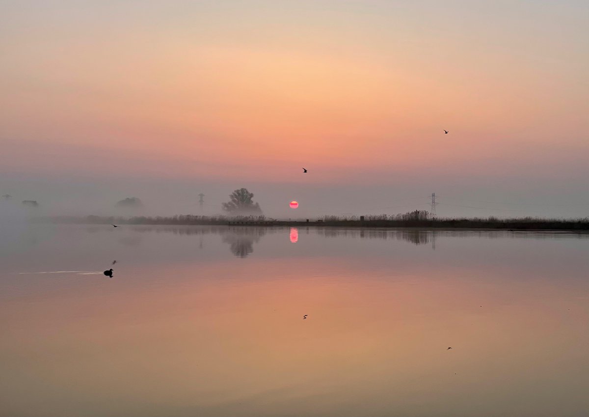 Pieter Stolk tweet media