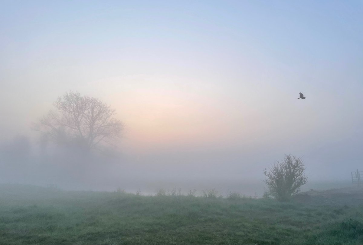 Pieter Stolk tweet media