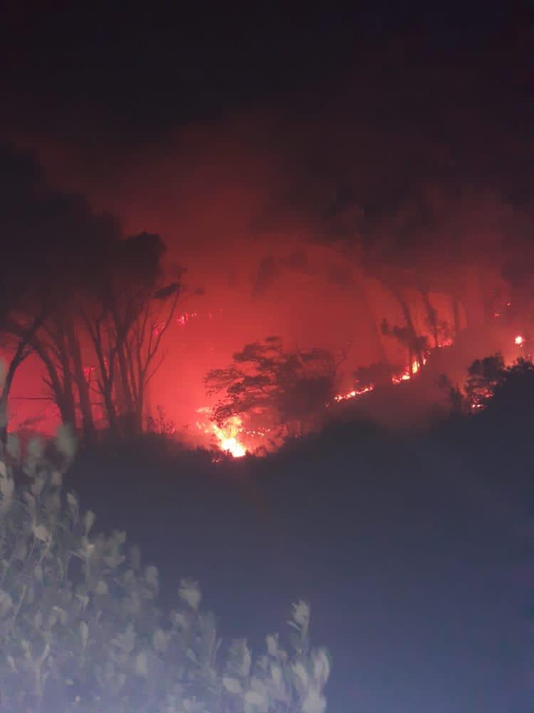 wo_fire's tweet image. A spotter &amp;amp; 3 choppers are dispatched to the #CapeTownFire currently burning at @TableMountainNP 

2 teams worked over night under extreme conditions.

The fire is currently burning in the Dadenburh area toward the Cable way.
 @environmentza @SABCNews @eNCA @News24