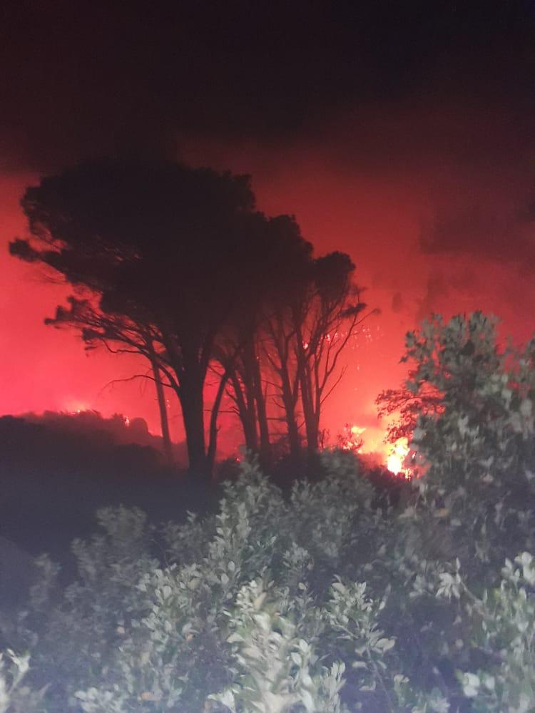 wo_fire's tweet image. A spotter &amp;amp; 3 choppers are dispatched to the #CapeTownFire currently burning at @TableMountainNP 

2 teams worked over night under extreme conditions.

The fire is currently burning in the Dadenburh area toward the Cable way.
 @environmentza @SABCNews @eNCA @News24