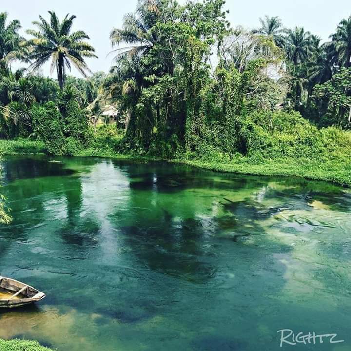 IgboHistoFacts's tweet photo. Did You Know That?

Azumini River in Ndoki, Abia State is originally blue in colour, but turns green whenever it rains.
The River has become a resort for tourists because of the pleasantness it offers.

Retweet to enlighten someone on your timeline https://t.co/itAEv2EjGU