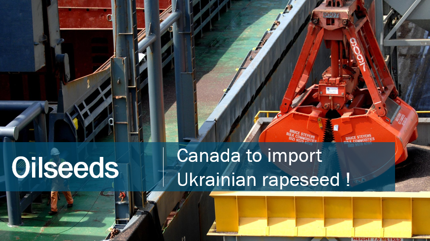 Canada to import rapeseed new crop from Ukraine! Shipment to be executed in August. more info: agritel.com/en/home