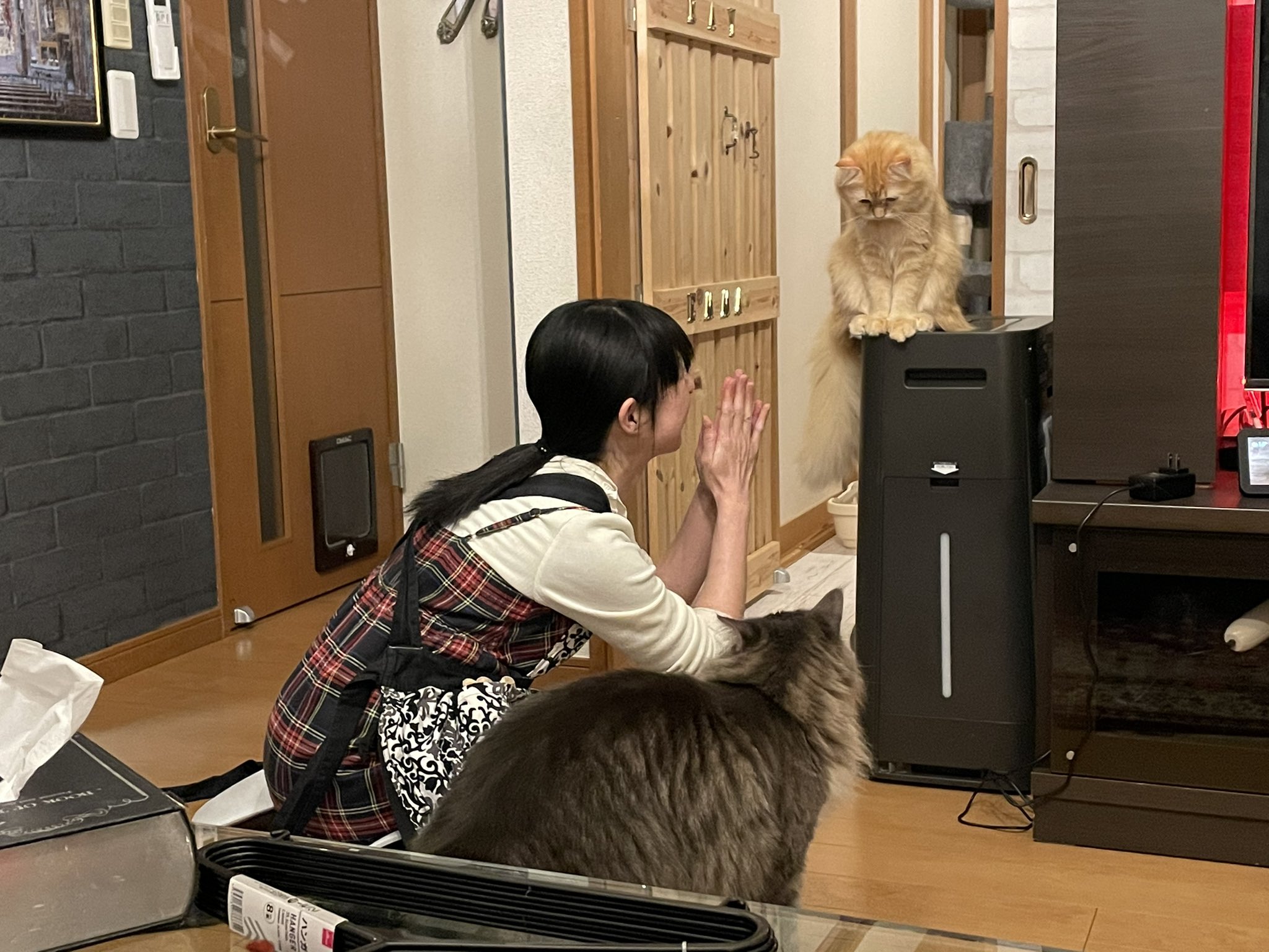 洗面所に閉じ込められて凹む猫の表情に注目 思わず笑ってしまう落ち込み具合がすごい 話題の画像プラス 洗面所に閉じ込められて凹む猫の表情に注目 思わず笑ってしまう落ち込み具合がすごい 話題の画像プラス