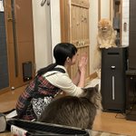 洗面所に閉じ込められて凹む猫の表情に注目!思わず笑ってしまう落ち込み具合がすごい!