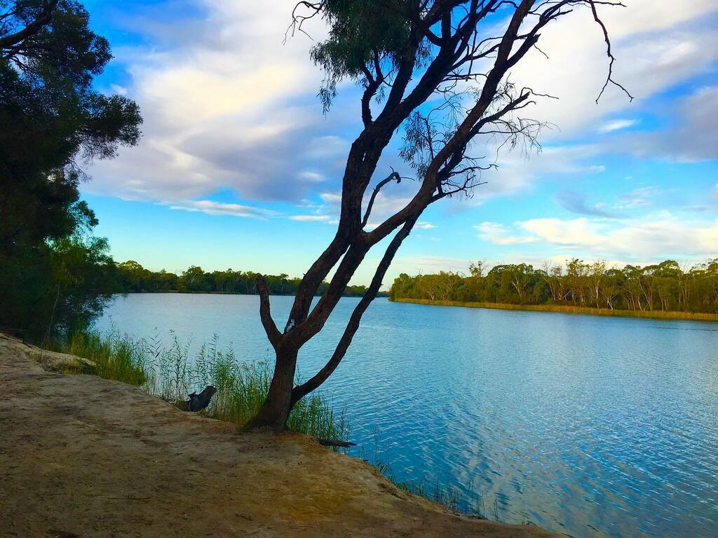 fourfeetpeak's tweet photo. ‘Oh The serenity’ .......
.
.
.
.
#murrayriver #wanderlust #goodmorning #theglobewanderer
#trailhikes #trailadventure #hikersofinstagram
#earthfocus #earthpix #paradise #outdoorphotography 
#hiking #nature #backtonature #outbackadventures #outbackaustral… https://t.co/2R7WylWtjH https://t.co/5qrjb9hPaw