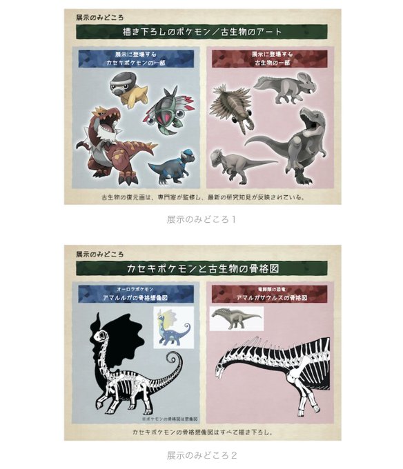 巡回展 ポケモン化石博物館 開催 カセキポケモンの骨格想像図や実物大模型も 巡回展 ポケモン化石博物館 開催 カセキポケモンの骨格想像図や実物大模型も