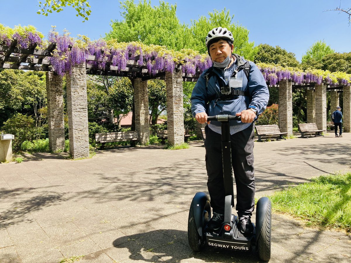 昭和記念公園セグウェイツアー 青空とのコントラストが素敵です 昭和記念公園 セグウェイツアー カナール 藤棚