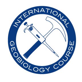 DrBradBrad's tweet photo. From Russell Shapiro: The International Geobiology Course is ON for this year (in a modified COVID-safe version). Cutting edge of geology/microbiology. Some spots still open. Must be fully vaccinated &amp; able to travel to US in June/July.  Email Russel form more info ⚒️🦠🌊🌿🧪 https://t.co/TN2N1YuHKM