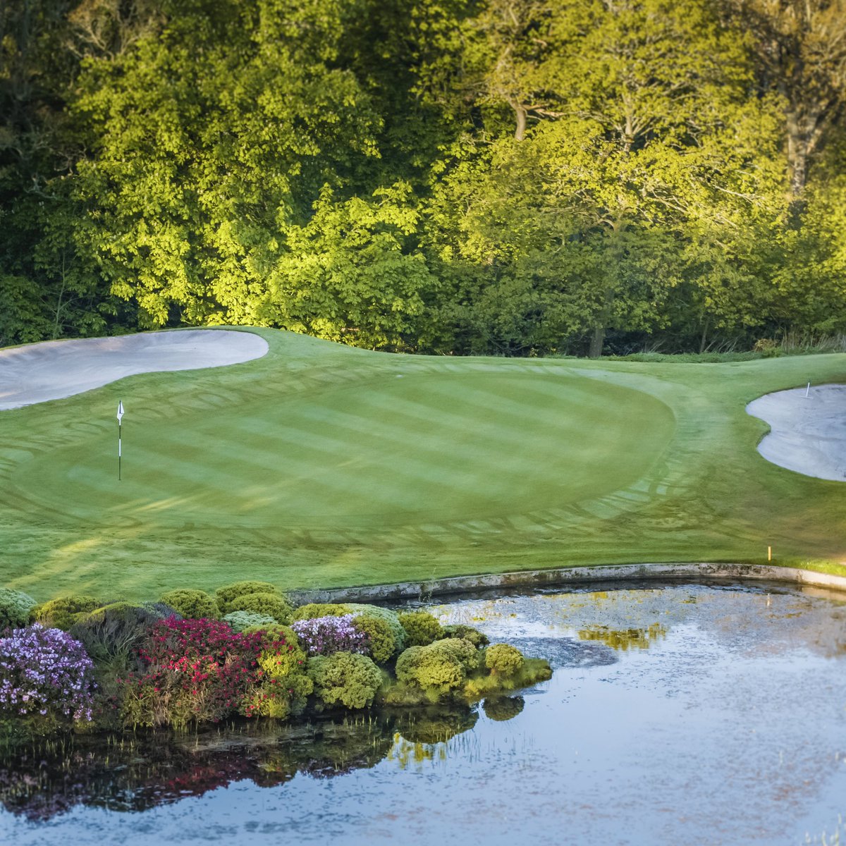 Scotland Where Golf Began (@wheregolfbegan) on Twitter photo This weeks SCOT CRIBS comes to you from picture perfect Perthshire.
<a href="/Murrayshall/">Murrayshall Country Estate</a> boasts 27 holes along with a stunning country house hotel.
It’s the perfect spot for a golf trip in the heart of Scotland. This weeks SCOT CRIBS comes to you from picture perfect Perthshire.
<a href="/Murrayshall/">Murrayshall Country Estate</a> boasts 27 holes along with a stunning country house hotel.
It’s the perfect spot for a golf trip in the heart of Scotland.