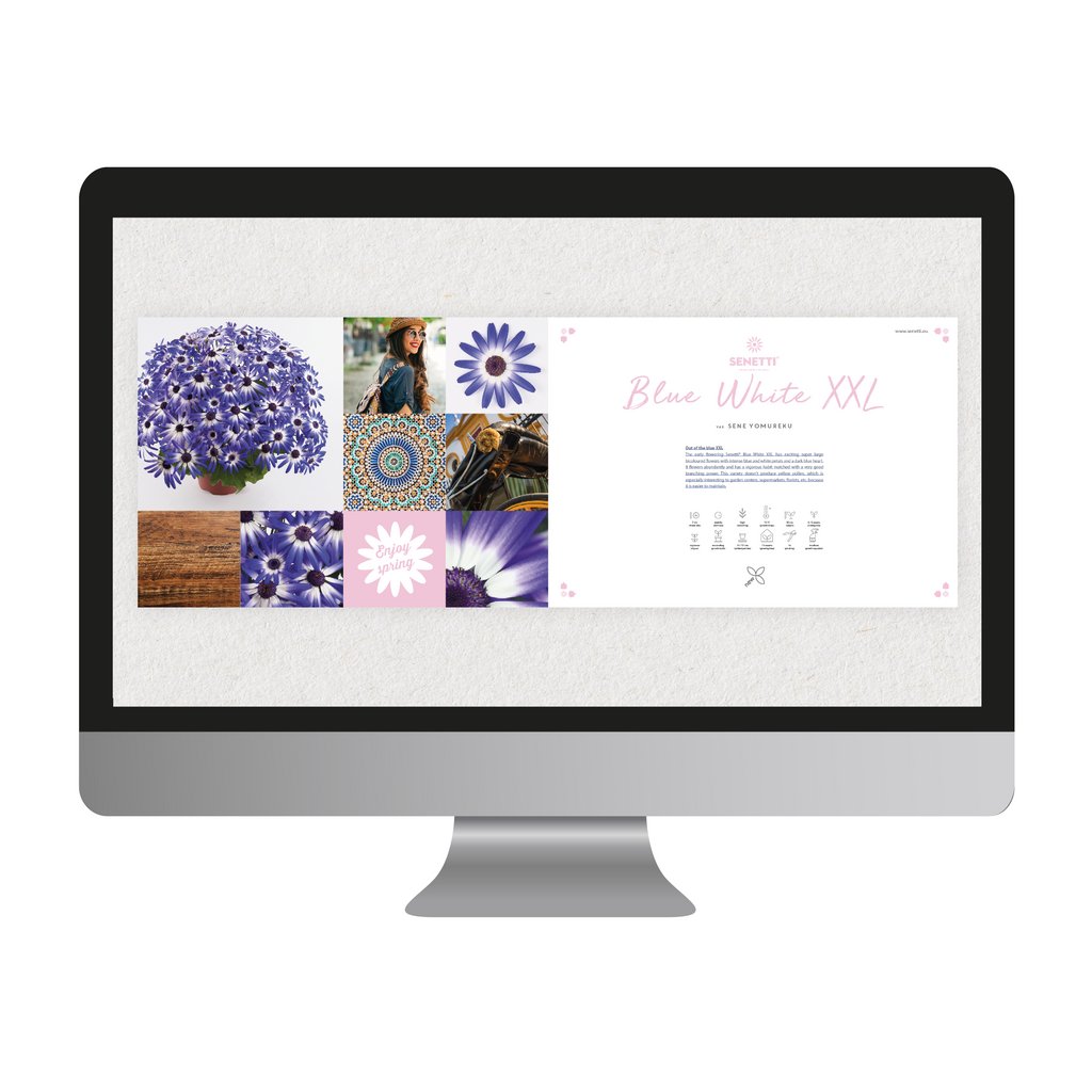 Senetti_ tweet picture