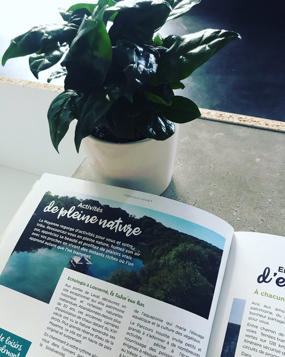 Echologia présent sur le nouveau numéro de Destination Mayenne. Merci à <a href="/MayenneTourisme/">Mayenne Tourisme 🍃</a> pour cette petite mise en avant et cette confiance. #mayennetourisme #lavaltourisme #slowlidays #slowtourisme #vacances #cabane <a href="/AquaponiaEcho53/">Aquaponia Aquaponie by Echologia</a> <a href="/Echologia/">Echologia</a>