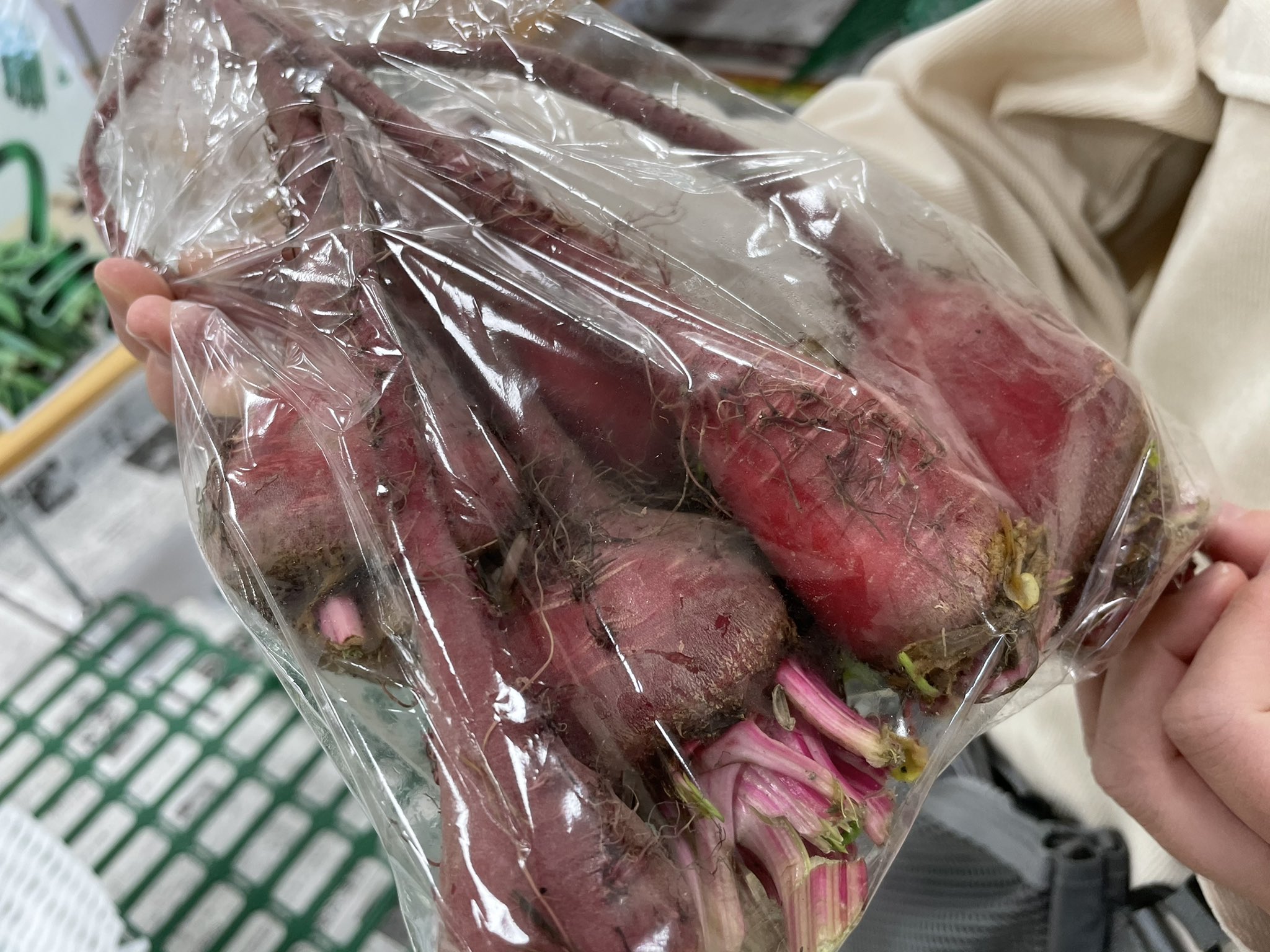 ビートルート教 Twitter Search Twitter