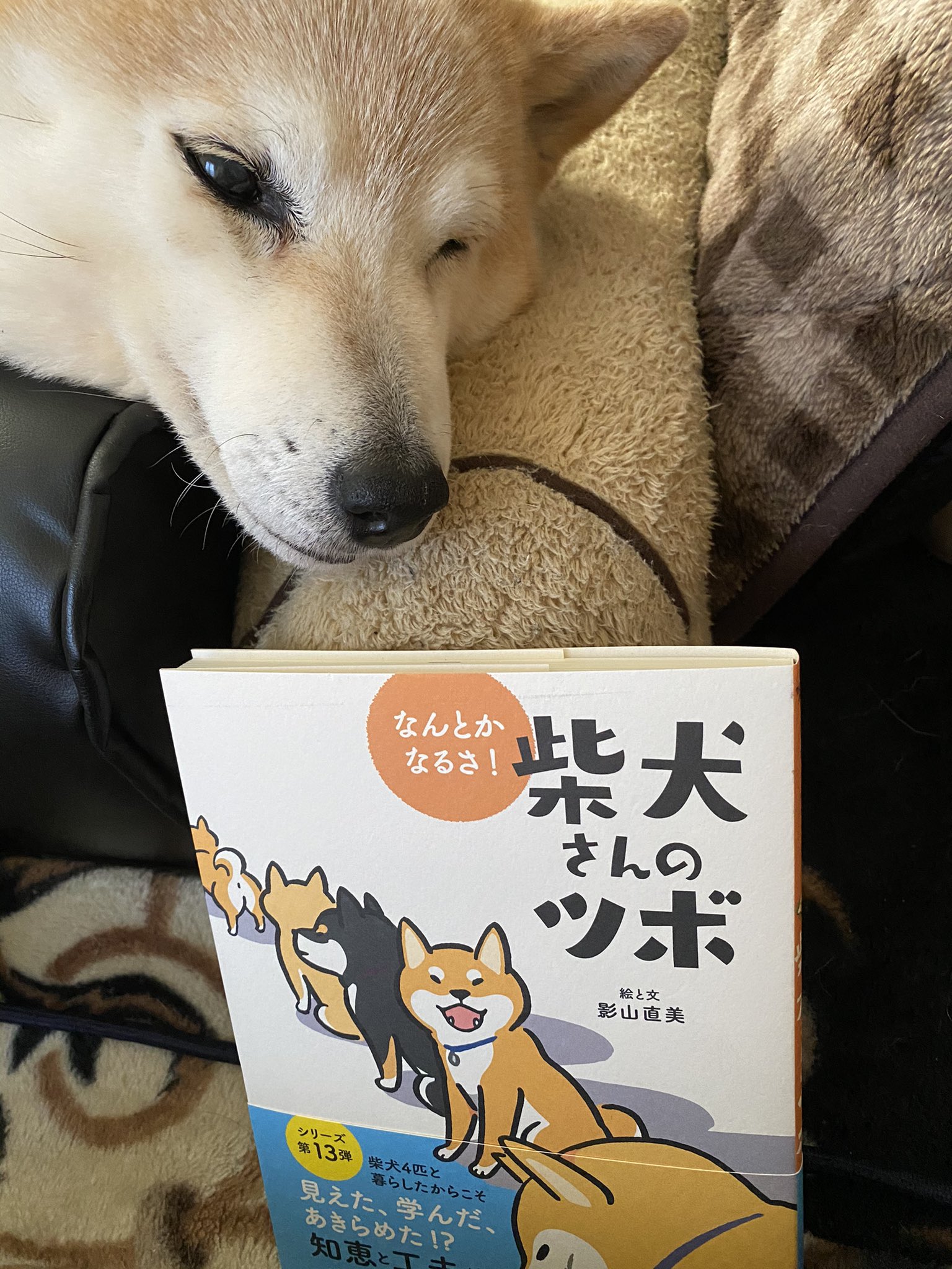 影山直美 Twitter Search Twitter