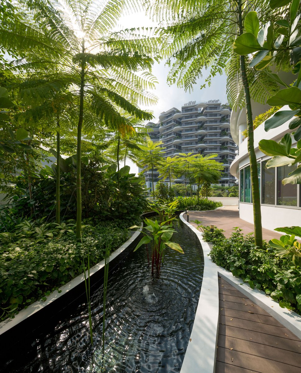SaoltaArts's tweet image. This respite garden in the Jurong Health Campus, Singapore. A CPG Consultants, HOK and Studio 505 design. 
Photos: Rory Daniel. #TheDeepestShadeofGreen exhibition with @galway2020 #gaillimh2020 #LetTheMagicIn #SaoltaArts #artsandhealth #biophillicdesign