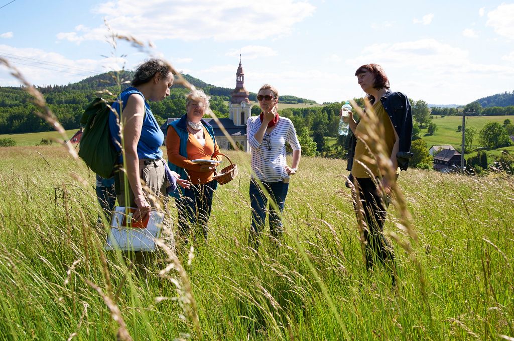 GetBizDone's tweet image. Podařilo se nám odevzdat a začít realizovat úspěšný projekt Rozkvetlé louky.
Jedná se o ekologický projekt, kde se více než 20 obcí rozhodlo, že na svých katastrech budou zlepšovat druhovou pestrost a budou správně pečovat o travní a luční porosty.