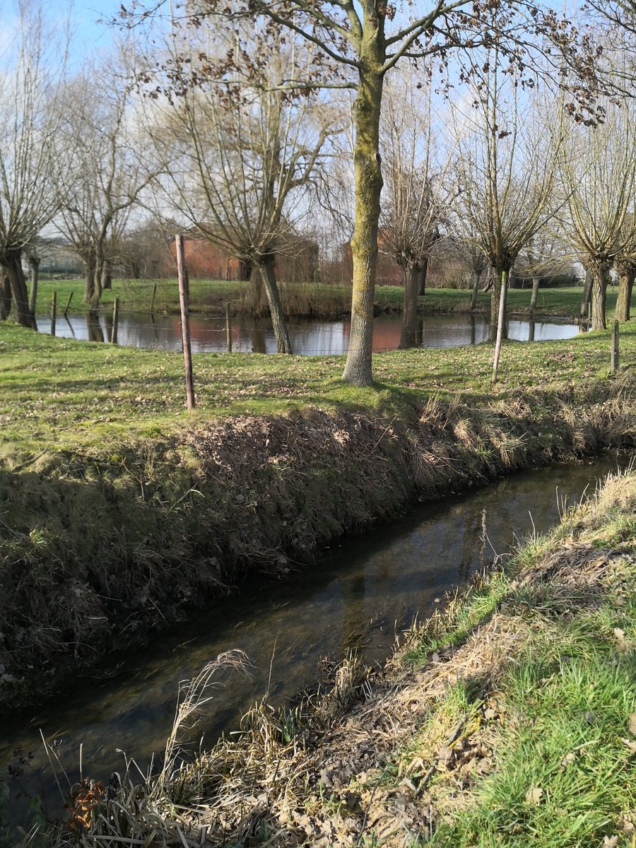 José De Roo (@josederoo1) on Twitter photo <a href="/JanGoossens11/">Jan Goossens</a> <a href="/AquafinNV/">Aquafin</a> 👏Ook vanuit Provincie West-Vl stimulans voor buffervijvers
👍<a href="/provinciewvl/">Provincie West-Vlaanderen</a> <a href="/JanGoossens11/">Jan Goossens</a> <a href="/AquafinNV/">Aquafin</a> 👏Ook vanuit Provincie West-Vl stimulans voor buffervijvers
👍<a href="/provinciewvl/">Provincie West-Vlaanderen</a>