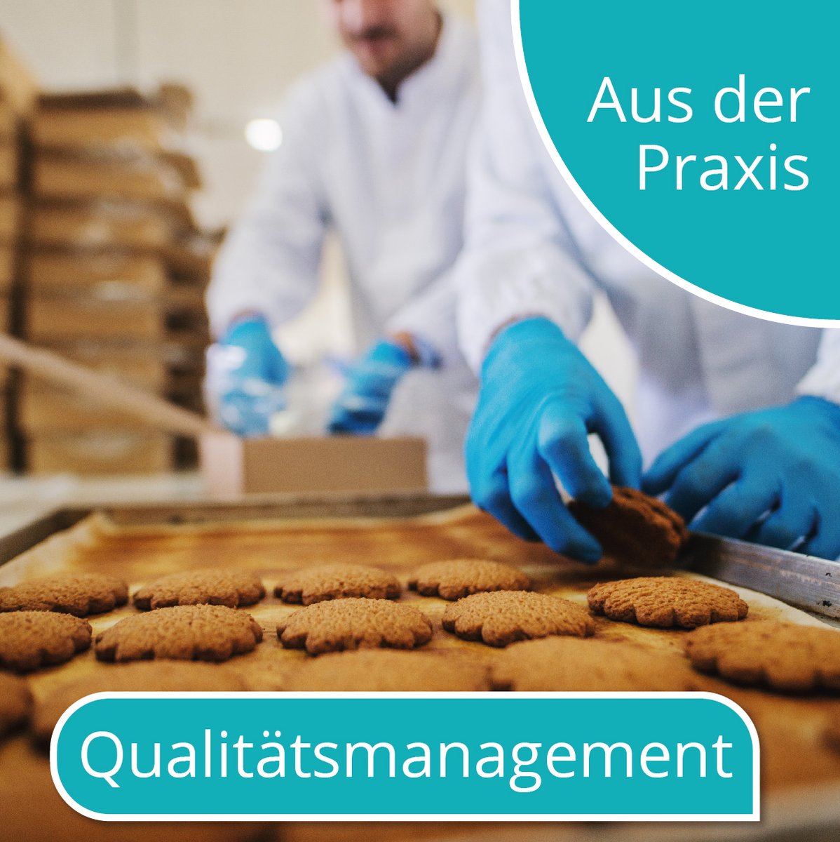 mDigitalSH's tweet photo. Aus der Praxis: https://t.co/FHQ9uOGfTC

#digitalisierung #mittelstand https://t.co/k8gLzpo6AI