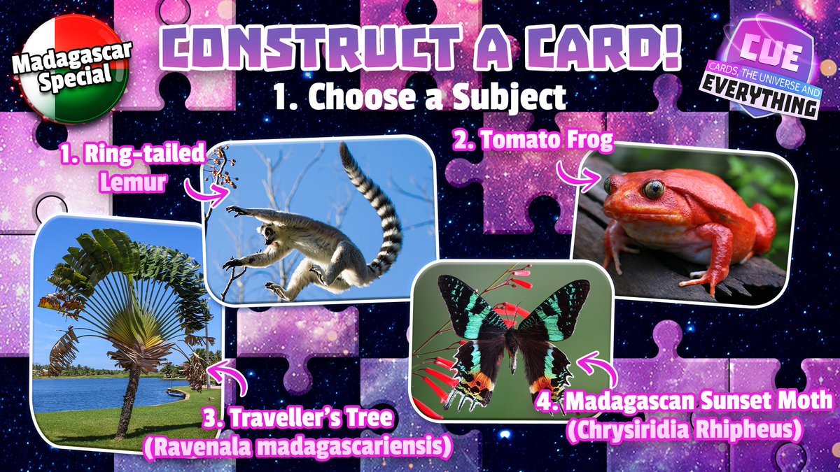 CUE_Cards's tweet photo. We've really got no idea who will win this round of Construct-a-Card! 🃏

This time it's a Madagascar special! ⚪🔴🟢

With 4 great choices available... who will you choose? 🤔

#CueCards #ConstructACard #wildlife #nature #card
#TCG #tradingcards #tcgplayer #tcgcommunity https://t.co/PWXJS1XQwE