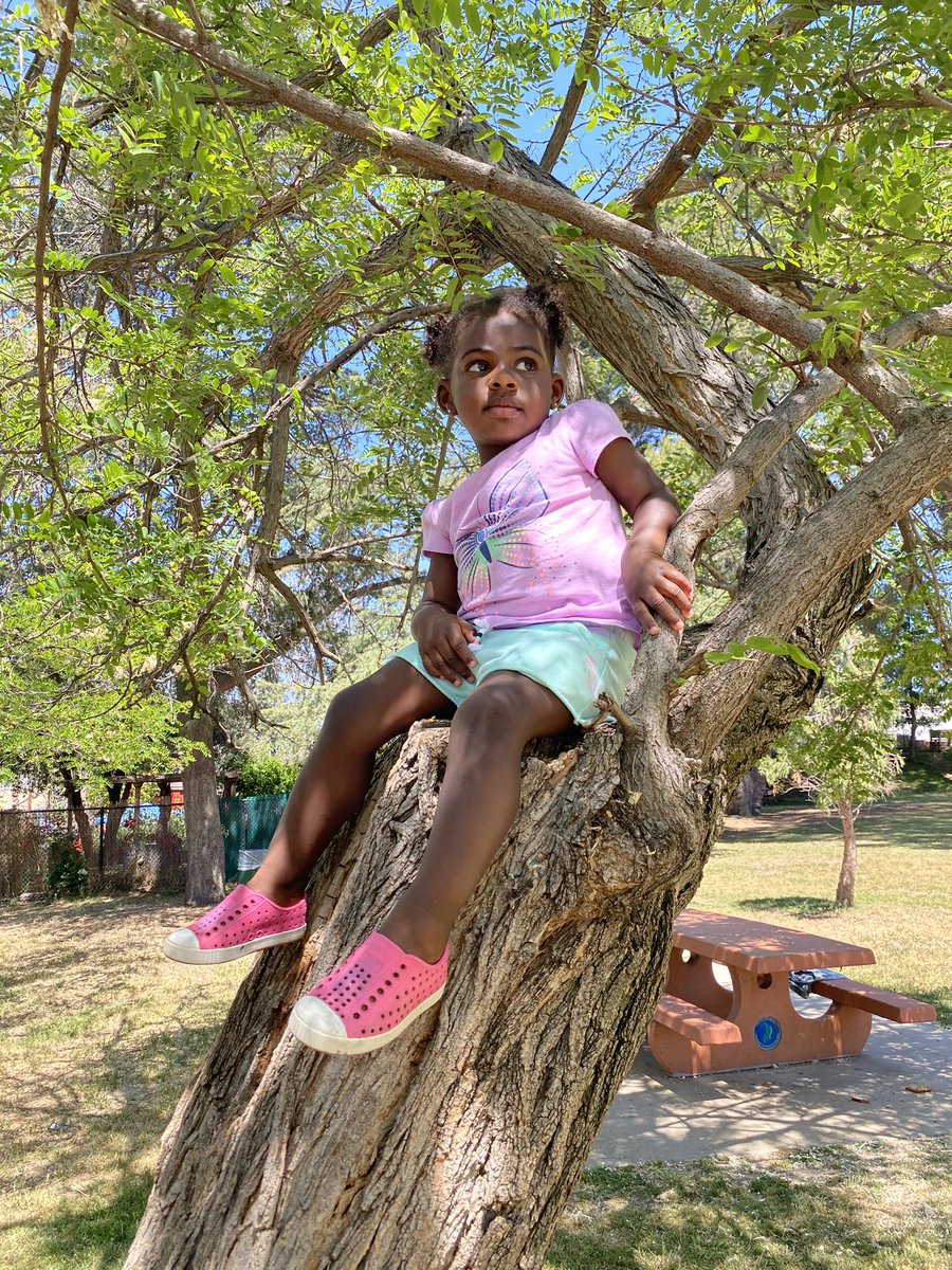 marcelluswiley's tweet photo. Parent’s Prayer 🙏🏿
Don’t be scared to walk the high wire in life baby! And when you do, enjoy the view! Always know Mommy & Daddy will be your safety net to catch you if you fall, so you can climb back up even higher! ❤️ #family #messagetoall #nolimits #wileyism https://t.co/ThGEK45Aio