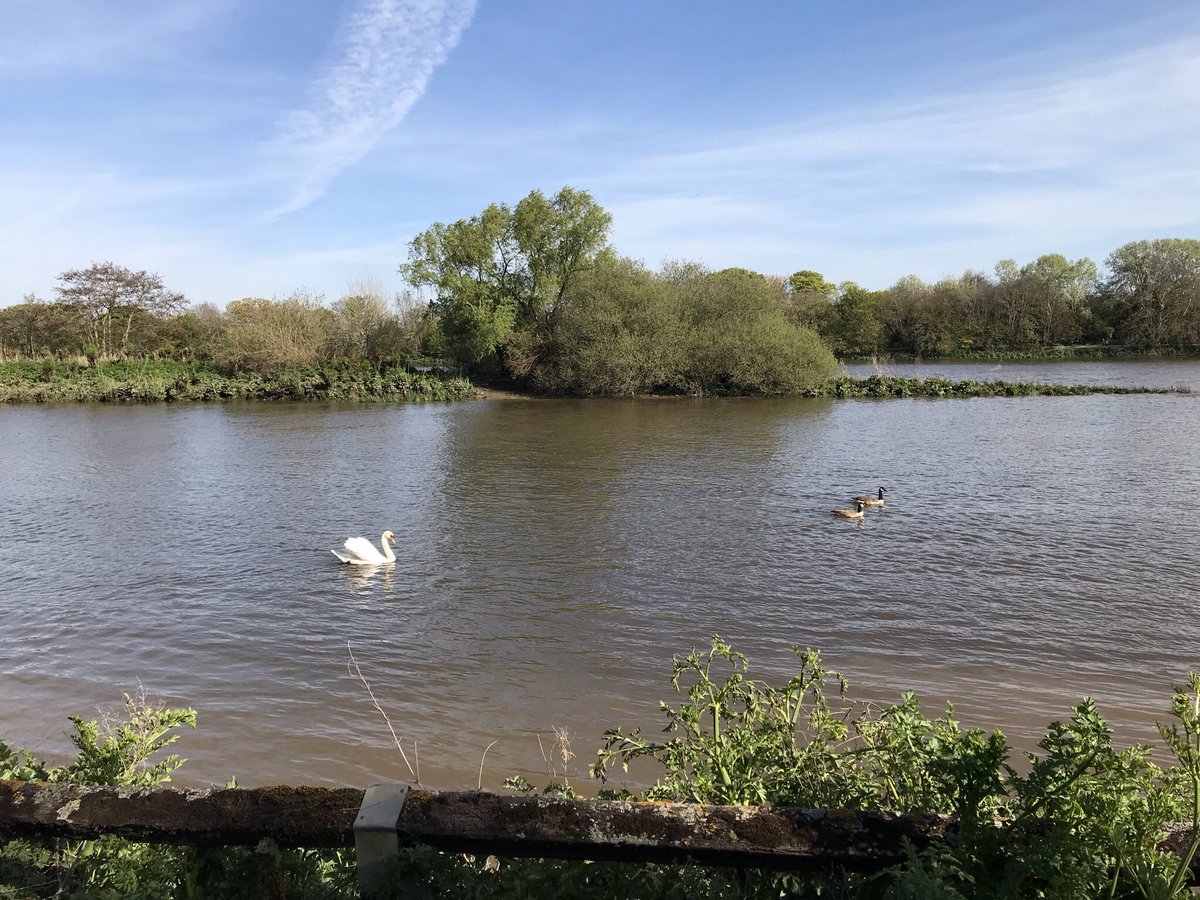 From a distance the world looks blue and green/ And the snow capped mountains white/ From a distance the ocean meets the stream/ And the eagle takes to flight/ From a distance there is harmony...
🌊#RiverThames #Chiswick🖊#JulieGold 🎤#NanciGriffith 🎧Hear youtu.be/66C5dx70aCk